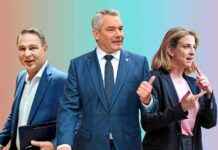 Inhalte: Unterschiede zwischen ÖVP, SPÖ und Neos news-19112024-065755