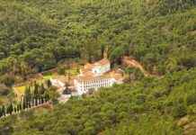 Verdächtiger Mord an Mönch und drei Verletzten: Polizei ermittelt news-20112024-130614