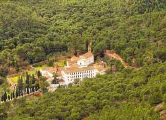 Verdächtiger Mord an Mönch und drei Verletzten: Polizei ermittelt news-20112024-130614