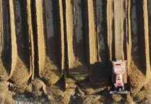 Umwandlung der Strände an der Adria: Video zeigt Bagger in Aktion news-21112024-065028