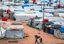 Von Syrien nach Salzburg: Maria G. – Aktuelle Entwicklungen und Zukunftsaussichten news-21112024-185316