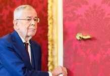 Ist der Bundespräsident schuld am ÖVP-Ergebnis? – Analyse und Fakten news-25112024-224428