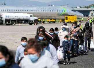 Kann Donald Trump Massenabschiebungen durchführen? news-28112024-110516