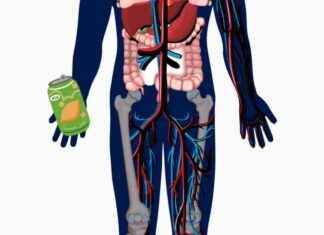 Die Auswirkungen von Zucker auf unseren Körper news-30112024-233816