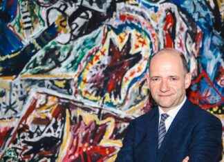 Wie die FPÖ die Republik erobert: Sonntagsinterview mit Politikberater Thomas Hofer news-30112024-233836