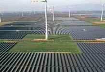 5 positive Entwicklungen für Klima und Umwelt im Jahr 2021 5-positive-entwicklungen-fr-klima-und-umwelt-im-jahr-2021