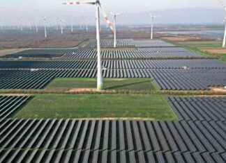 5 positive Entwicklungen für Klima und Umwelt im Jahr 2021 5-positive-entwicklungen-fr-klima-und-umwelt-im-jahr-2021