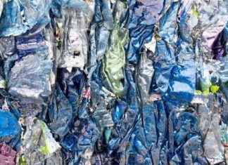 Alles über Flaschenpfand: Tipps für Verbraucher zu Plastik und Dosen alles-ber-flaschenpfand-tipps-fr-verbraucher-zu-plastik-und-dosen