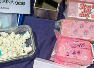 Bekämpfung von Pink Cocaine: Prävention gegen neue Drogenrisiken bekmpfung-von-pink-cocaine-prvention-gegen-neue-drogenrisiken