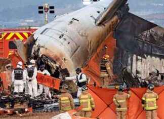 Flugzeugunglück in Südkorea: 179 Tote – Aktuelle Nachrichten & Updates flugzeugunglck-in-sdkorea-179-tote-aktuelle-nachrichten-updates