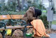 Hintergründe und Reaktionen nach Böller-Attacke: „Unglaublich. Sie hat niemandem etwas getan“ hintergrnde-und-reaktionen-nach-bller-attacke-unglaublich-sie-hat-niemandem-etwas-getan