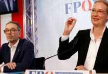 AfD und FPÖ: Gemeinsamkeiten und Unterschiede im politischen Kontext afd-und-fp-gemeinsamkeiten-und-unterschiede-im-politischen-kontext