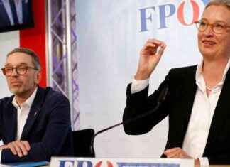 AfD und FPÖ: Gemeinsamkeiten und Unterschiede im politischen Kontext afd-und-fp-gemeinsamkeiten-und-unterschiede-im-politischen-kontext