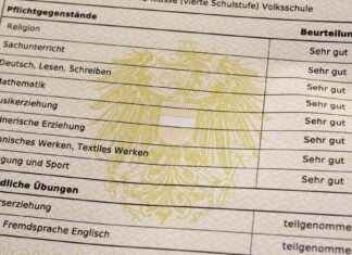 Die Bedeutung der Mitarbeit für Noten: Alles über Zeugnisse die-bedeutung-der-mitarbeit-fr-noten-alles-ber-zeugnisse