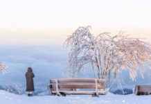 Eisige Kälte in der Steiermark: Frostnacht bringt Tauwetter eisige-klte-in-der-steiermark-frostnacht-bringt-tauwetter