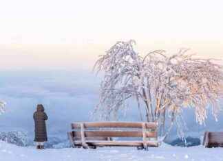 Eisige Kälte in der Steiermark: Frostnacht bringt Tauwetter eisige-klte-in-der-steiermark-frostnacht-bringt-tauwetter