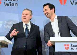 Herausforderungen der Wiener Stadtregierung in Rot und Pink herausforderungen-der-wiener-stadtregierung-in-rot-und-pink