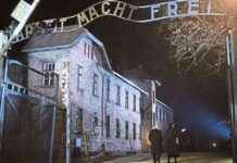 Holocaust-Gedenken und der Schuldkult: Angriffe der extremen Rechten holocaust-gedenken-und-der-schuldkult-angriffe-der-extremen-rechten