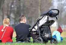 Kritik an blau-schwarzen Ideen für Herdprämie – Bewertung und Analyse kritik-an-blau-schwarzen-deen-fr-herdprmie-bewertung-und-analyse