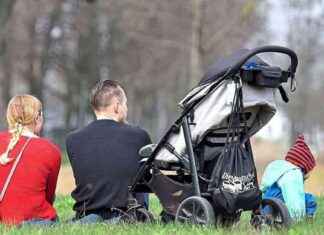 Kritik an blau-schwarzen Ideen für Herdprämie – Bewertung und Analyse kritik-an-blau-schwarzen-deen-fr-herdprmie-bewertung-und-analyse
