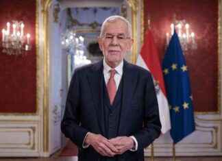 In welchem Land wollen wir leben? – Van der Bellen in Neujahrsansprache n-welchem-land-wollen-wir-leben-van-der-bellen-in-neujahrsansprache