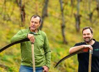 Nachhaltige Bewässerung im Weinbau: Speicherteiche als Lösung gegen Trockenheit nachhaltige-bewsserung-im-weinbau-speicherteiche-als-lsung-gegen-trockenheit