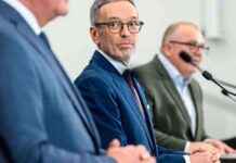 Steuern, die die FPÖ und ÖVP erhöhen könnten steuern-die-die-fp-und-vp-erhhen-knnten