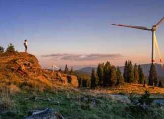 Verbot von Windrädern in Kärnten: 51,43 Prozent stimmen dafür verbot-von-windrdern-in-krnten-5143-prozent-stimmen-dafr