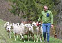 Warum Bauern den Bioanbau aufgeben: Bio schwächelt in der Landwirtschaft warum-bauern-den-bioanbau-aufgeben-bio-schwchelt-in-der-landwirtschaft