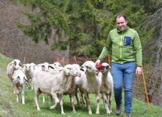 Warum Bauern den Bioanbau aufgeben: Bio schwächelt in der Landwirtschaft warum-bauern-den-bioanbau-aufgeben-bio-schwchelt-in-der-landwirtschaft
