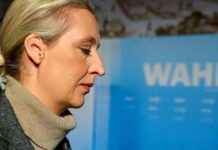 AfD-Spendenskandal: Verdächtige Millionenspende aus Österreich afd-spendenskandal-verdchtige-millionenspende-aus-sterreich