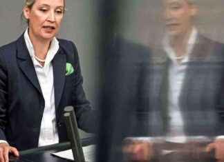 Alice Weidel: Porträt einer kontroversen Politikerin alice-weidel-portrt-einer-kontroversen-politikerin