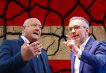 Analyse: Ursachen für das Scheitern der Blau-Schwarz Koalition analyse-ursachen-fr-das-scheitern-der-blau-schwarz-koalition