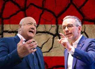 Analyse: Ursachen für das Scheitern der Blau-Schwarz Koalition analyse-ursachen-fr-das-scheitern-der-blau-schwarz-koalition