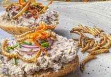 Die Wahrheit über Mehlwürmer in Lebensmitteln: Aufklärung und Fakten die-wahrheit-ber-mehlwrmer-in-lebensmitteln-aufklrung-und-fakten