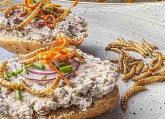 Die Wahrheit über Mehlwürmer in Lebensmitteln: Aufklärung und Fakten die-wahrheit-ber-mehlwrmer-in-lebensmitteln-aufklrung-und-fakten