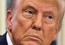 Gegenmaßnahmen von China, Kanada und Mexiko gegen Trumps Strafzölle gegenmanahmen-von-china-kanada-und-mexiko-gegen-trumps-strafzlle