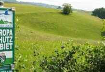 Naturschutzbund kauft steirische Grundstücke dank Millionenregen naturschutzbund-kauft-steirische-grundstcke-dank-millionenregen