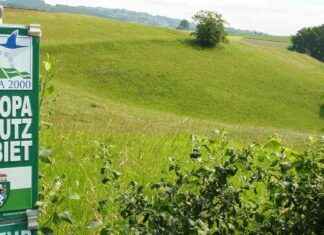 Naturschutzbund kauft steirische Grundstücke dank Millionenregen naturschutzbund-kauft-steirische-grundstcke-dank-millionenregen
