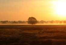 Saharastaub und Radioaktivität: Gesundheitsrisiko für uns? saharastaub-und-radioaktivitt-gesundheitsrisiko-fr-uns