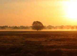 Saharastaub und Radioaktivität: Gesundheitsrisiko für uns? saharastaub-und-radioaktivitt-gesundheitsrisiko-fr-uns