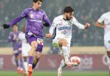 SK Sturm vs. Austria Wien: Live-Spiel und Revanche möglich? sk-sturm-vs-austria-wien-live-spiel-und-revanche-mglich