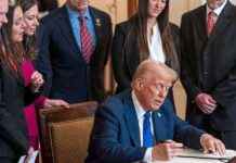 Trump: Eine schnelle und schwindelerregende Strategie als Präsident trump-eine-schnelle-und-schwindelerregende-strategie-als-prsident