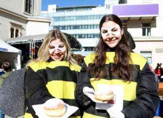 Bunter Faschingstreiben in Graz: Narren in Aktion bunter-faschingstreiben-in-graz-narren-in-aktion