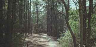 Aufstellungen: Teilnehmer: VfB Stuttgart II Gegen 1860 München Aufstellungen: Teilnehmer: VfB Stuttgart II Gegen 1860 München