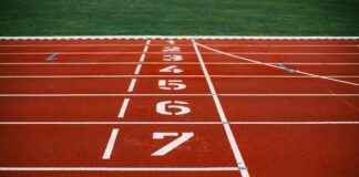 Teilnehmer: 1. FC Köln Gegen Union Berlin Spiele Teilnehmer: 1. FC Köln Gegen Union Berlin Spiele