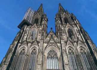 Teilnehmer: 1. FC Köln Gegen Werder Bremen Spiele Teilnehmer: 1. FC Köln Gegen Werder Bremen Spiele