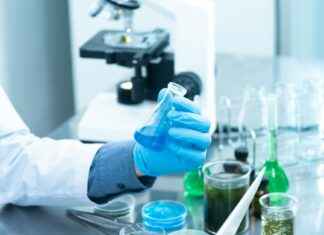 Teilnehmer: Bayer 04 Leverkusen Gegen Rot-Weiss Oberhausen Statistiken Teilnehmer: Bayer 04 Leverkusen Gegen Rot-Weiss Oberhausen Statistiken