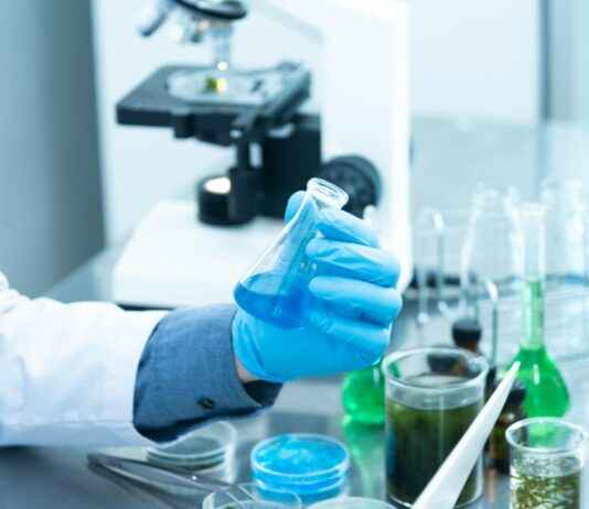 Teilnehmer: Bayer 04 Leverkusen Gegen Rot-Weiss Oberhausen Statistiken Teilnehmer: Bayer 04 Leverkusen Gegen Rot-Weiss Oberhausen Statistiken