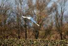 Teilnehmer: Bayer Leverkusen Gegen FC Bayern München Spielerbewertungen Teilnehmer: Bayer Leverkusen Gegen FC Bayern München Spielerbewertungen